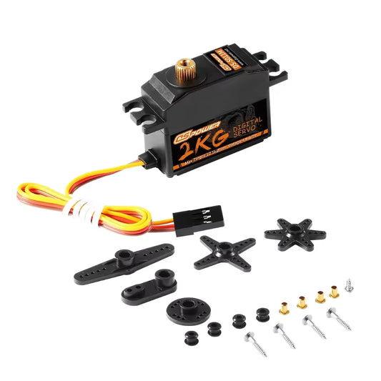 DSPower 2KG Low Servo 1/12